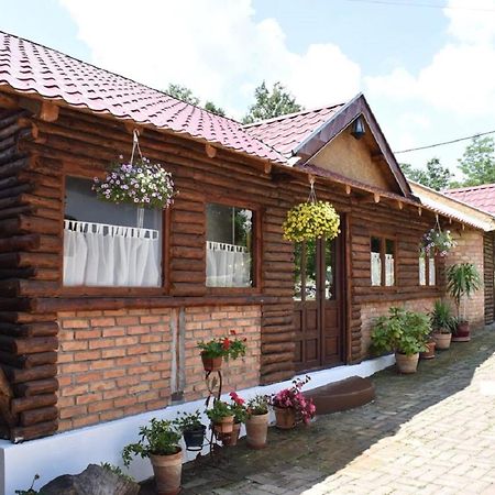 Bed and Breakfast Panorama Lomnica Despotovac Zewnętrze zdjęcie