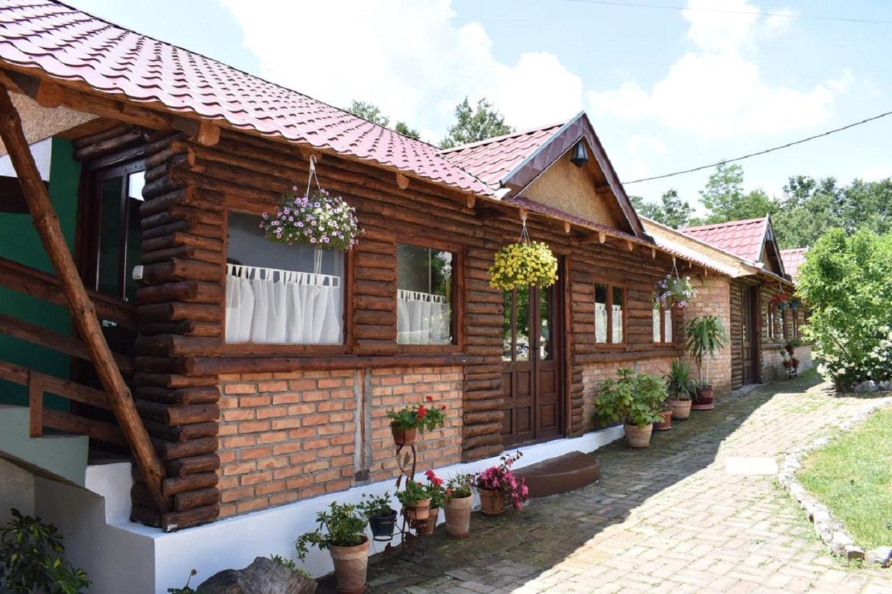 Bed and Breakfast Panorama Lomnica Despotovac Zewnętrze zdjęcie