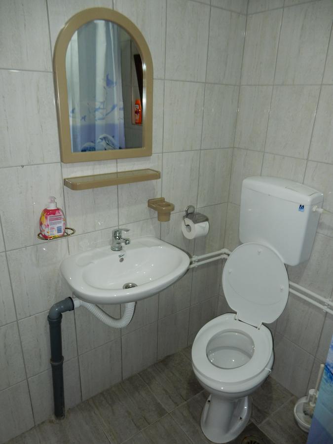Bed and Breakfast Panorama Lomnica Despotovac Zewnętrze zdjęcie