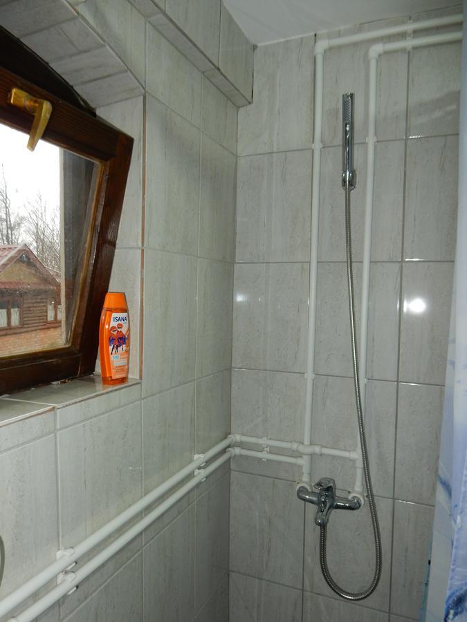Bed and Breakfast Panorama Lomnica Despotovac Zewnętrze zdjęcie