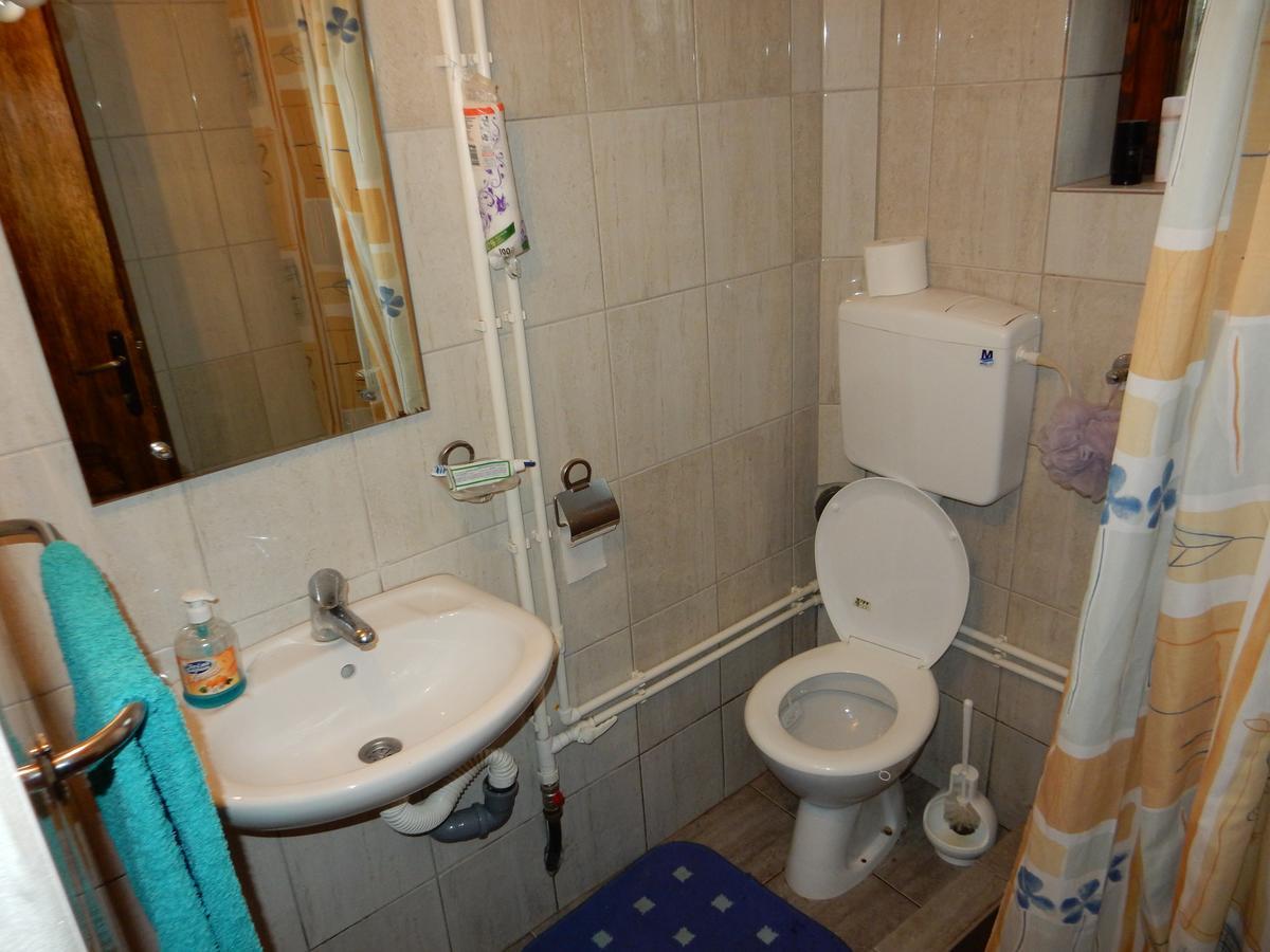 Bed and Breakfast Panorama Lomnica Despotovac Zewnętrze zdjęcie
