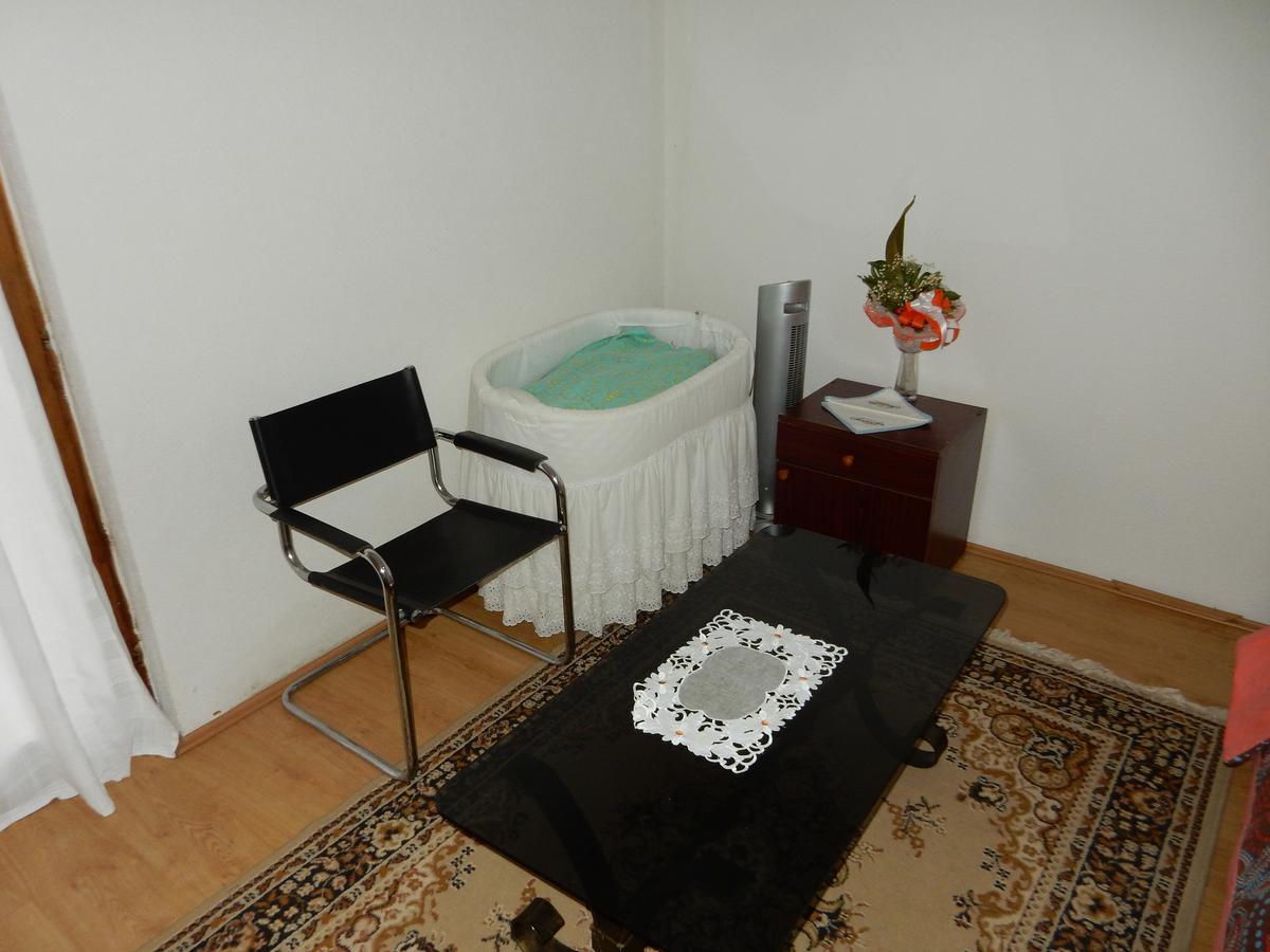Bed and Breakfast Panorama Lomnica Despotovac Zewnętrze zdjęcie